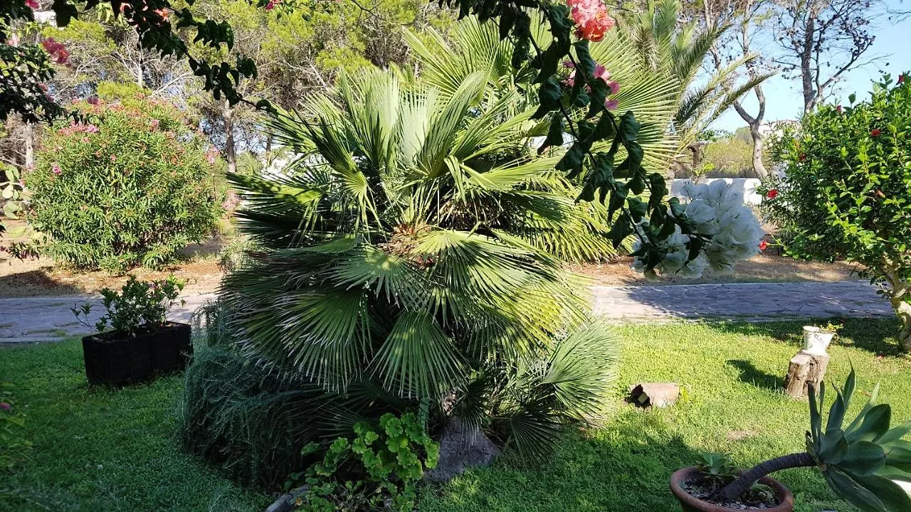 Villino Mery Calasetta Italy